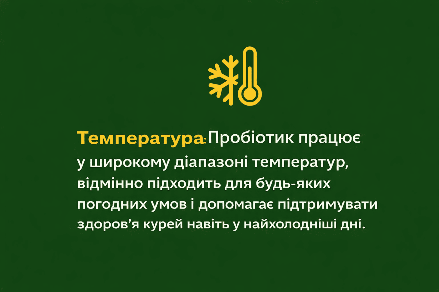 chatgpt-image-17-fevr.-2026-g.-15_41_24.png